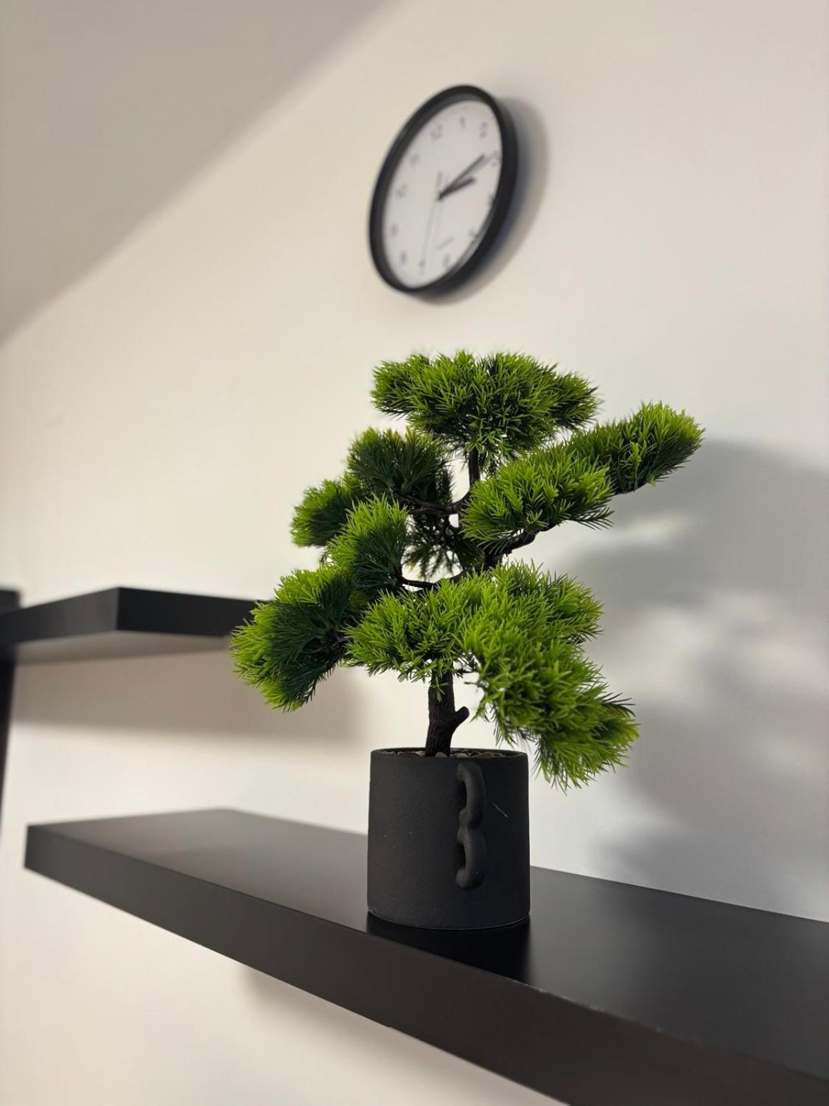 Agora Apartman Hajdúszoboszló Εξωτερικό φωτογραφία